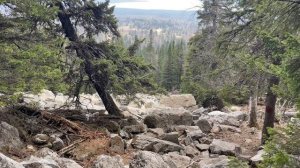 29.04,23 хребет Зюраткуль