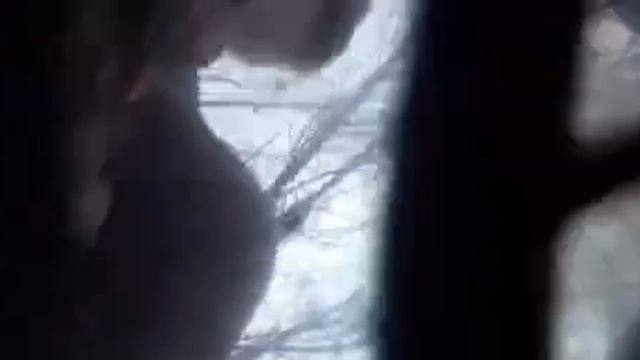 Момент ранения бойца 291 полка - того самого, что отбил уже две попытки прорыва их позиций.