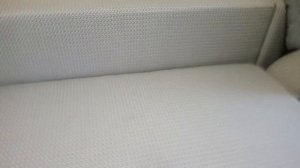 диван покрылся плесенью 2