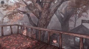 SKYRIM ТОП 2000 МОДОВ ЛУЧШАЯ СБОРКА СКАЙРИМ NOLVUS