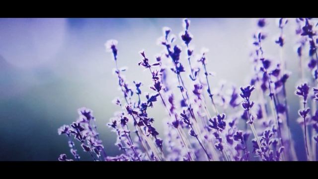 LG 22MK600M Video Editor Review (Bangla) смотреть онлайн