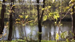 Настройка фотокамеры для съемки видео (DSLR Canon 70d)