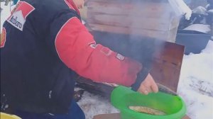 Засолка и копчение скумбрии в коптильни из газовой плиты.