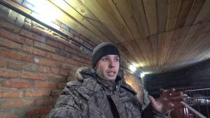 Какой пол лучше для сарая
