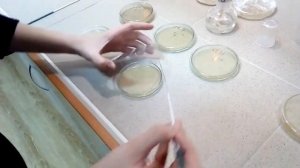 Сириус Февральская естественнонаучная программа - Бухарина Виктория