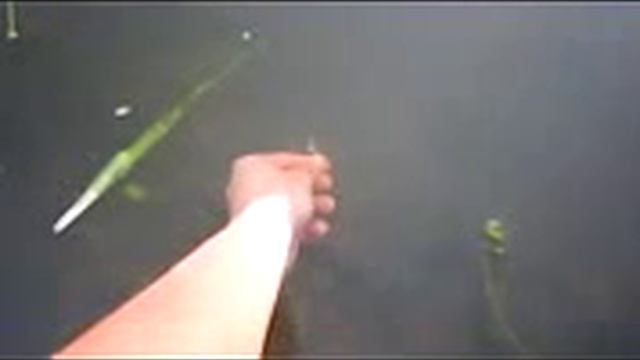 Смотреть Ловля На Бомбарду (Сбирулино)-Выбор Удилища,Поплавка,Приманки,Оснастка Видео «Секреты смотреть онлайн