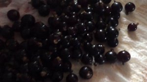 ДАЧНЫЙ ВЛОГ: ОГОРОД // ВЫШЛА НА РАБОТУ // ОБЗОР ВЕДРА С ВАЛДБЕРИС // ПРОБКА ДЛИНОЮ В 10 КМ // КУЛТУ