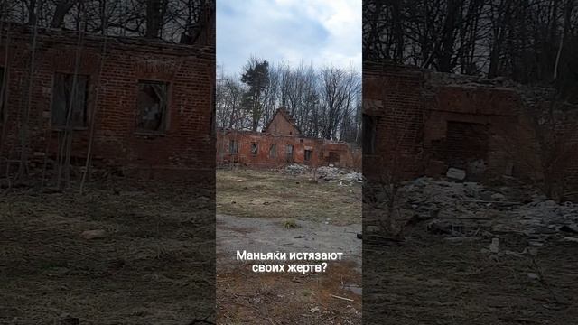 Заброшенная конюшня в Марфино