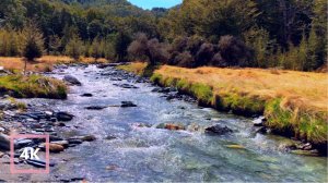 Речные звуки в лесу. Нежный речной звук для учебы, сна, бессонницы, снятия стресса