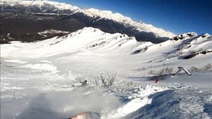 Альпика фрирайд, снежные поля