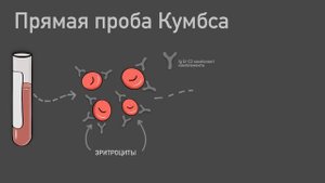 Прямая проба Кумбса.