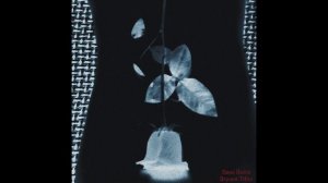 Quex Beats - Bryson Tiller (dark r&b beat)