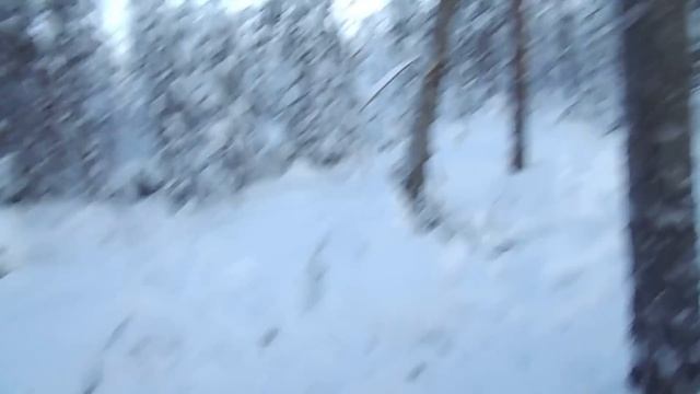 Одиночный поход в Карелию, установка палатки. 3/6 смотреть онлайн