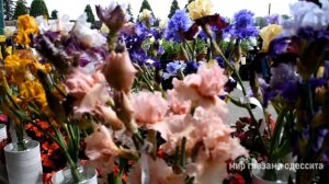 Путешествие в штат Орегон | Ирисовый сад | Фермы в Америке| Что посмотреть в штате Орегон? Сады США