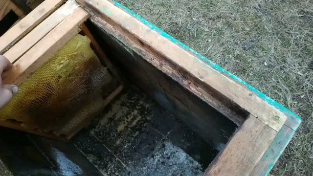 Пчёлы и мотоциклы ч.2 Экстренное спасение от голода .