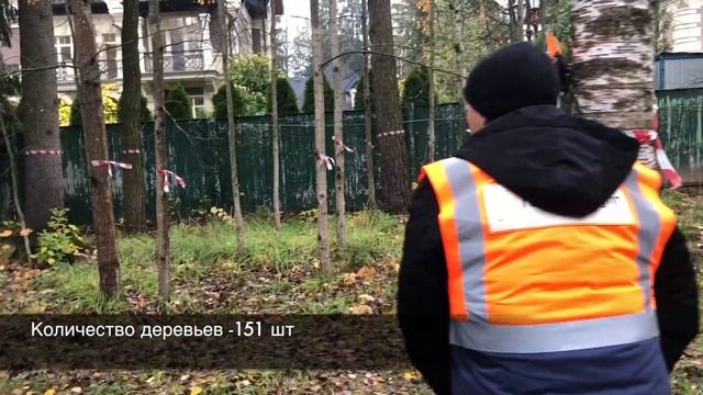 Подеревная съёмка - Дендроплан