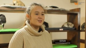 Замуррчательные новости // Сюжет о котокафе "Муррчим" в Нижнем Новгороде