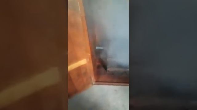 vapor para sauna medicinal casero смотреть онлайн