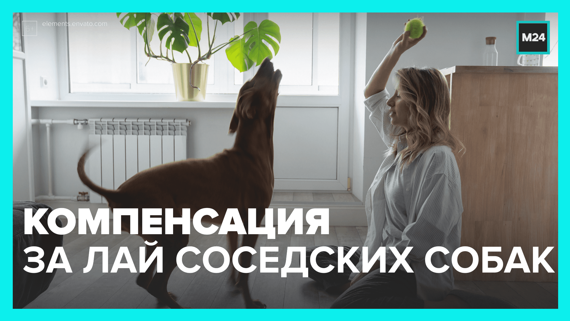 Лай собаки звук. У соседей тявкает псина. Слушать лай собаки соседям. Обьявление шум собаки пикабу. Соседская собака лает.