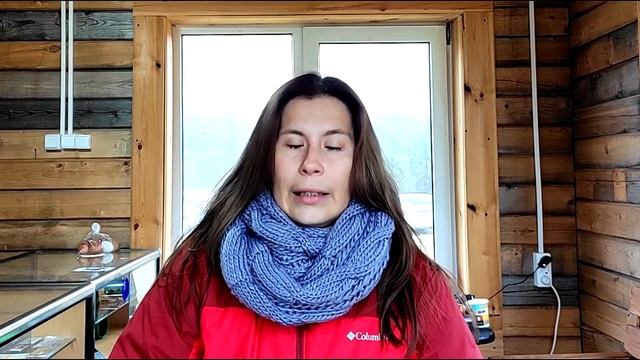 Мена обманули на АВИТО. Мошенник кинул на деньги. Как избежать обмана