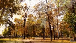 Александровский сад. Осень (2021)