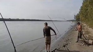 сазан обь долгожданный 2023