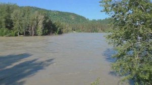 Половодье на реке КАТУНЬ. Очень большой уровень воды.