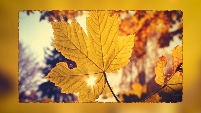 Пам'ятаєте, як в дитинстві клеїли аплікації з осіннього листя? смотреть онлайн