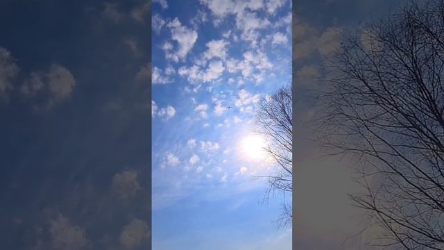 Когда кажется, что весь мир настроен против тебя, помни, что самолёт взлетает против ветра ? смотреть онлайн