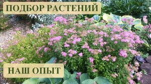 ПРИНЦИП ПОДБОРА РАСТЕНИЙ В САДУ. НАШ ОПЫТ. Дачный креатив.
