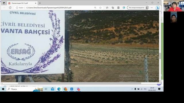 Перспективы развития компании ERSAG. Лаванда - трава, очищающая плохие эмоции. смотреть онлайн