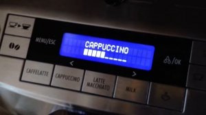 Delonghi PrimaDonna S DeLux Cappuccino