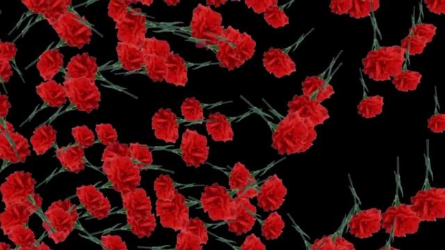 ФУТАЖ БРОСАНИЕ ГВОЗДИК 2 HD смотреть онлайн