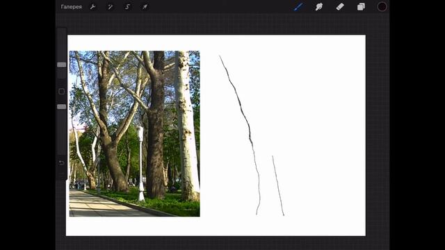 Ствол дерева смотреть онлайн