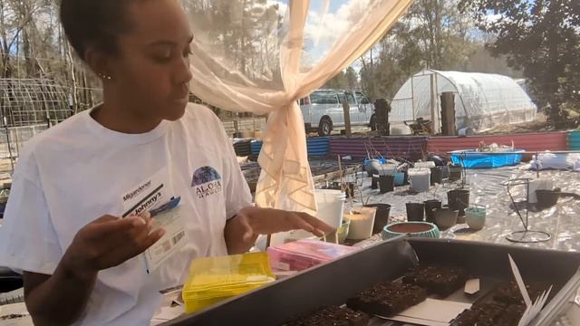 Start Tomato, Basil, Eggplant, & Tomatillo Seeds With Me | Vlog