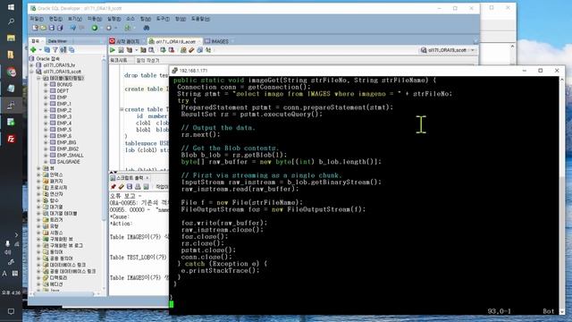 SQL Developer 를 활용한 long, clob, blob, securefile 타입 조작 смотреть онлайн