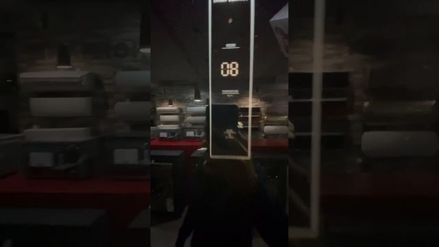 Холодильник Hofmann RF-496MDBG/HF смотреть онлайн