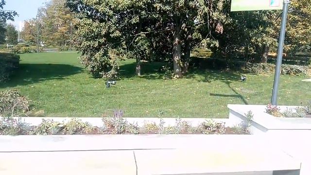 Город Зеленоград Центральный проспект дом 1 Парк Победы сорокалетия смотреть онлайн