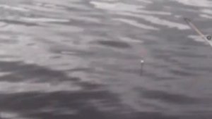 Рыбалка на ютубе ловля сига и окуня летом на мормышку 100 км по финке оз. Солозеро