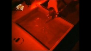 Как делают голограммы