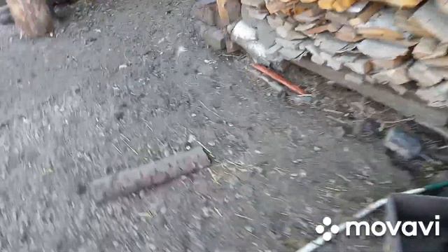 ну и жарища//дела житейские//2 августа 2023 г.