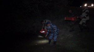 Запуск толстолобика