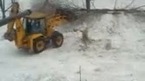 Трактор ломает деревья