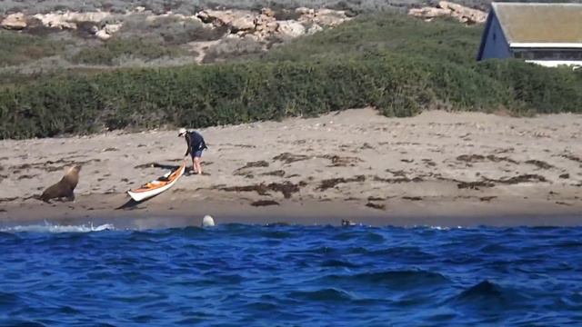 Neptune Islands Visit Sea kayaking 2019 смотреть онлайн
