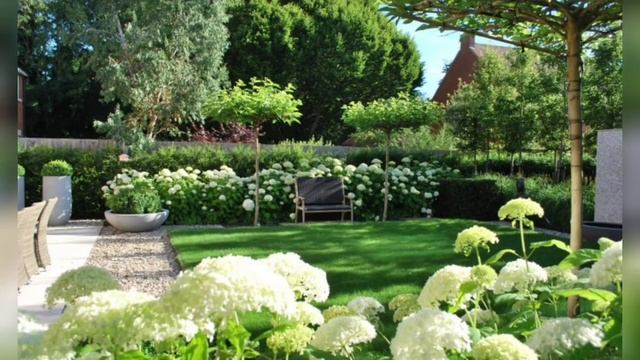 Гортензия в ландшафтном дизайне.50 лучших идей!!! смотреть онлайн