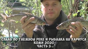 Сплав по таёжное реке и рыбалка на хариуса в Коми 2020. Часть 3. Крупный хариус не отпускает нас