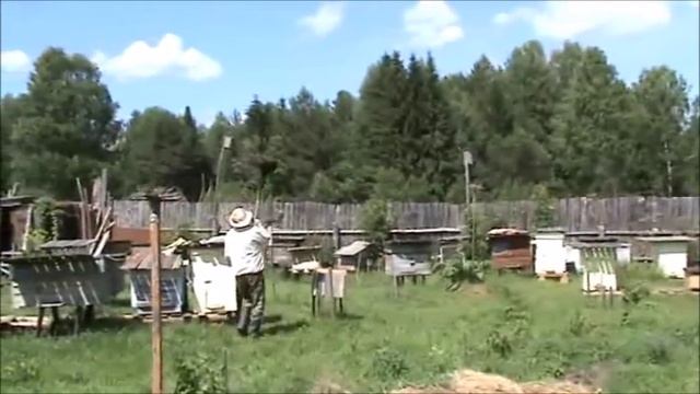 Два роя в один улей 2 Кировская область смотреть онлайн