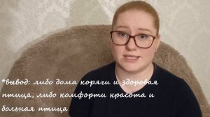 Трудности содержания венесуэльского амазона
