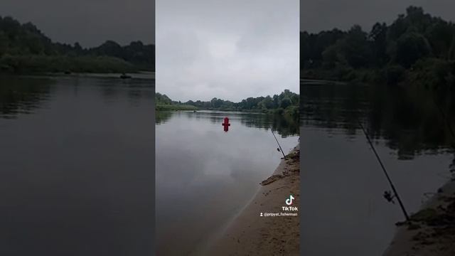 Река Припять. Что можно поймать на пиявку и кукурузу.