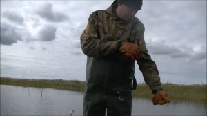 Рыбалка в октябре...золотой карась.